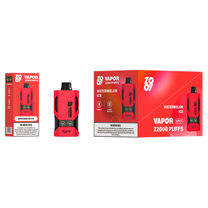 zooy vapor 22000 Disposable Vape Puff 120K Fruit flavor EU Warehouse-watermelon ice