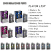 Disposable portable electronic cigarette ZOOY MEGA 12000